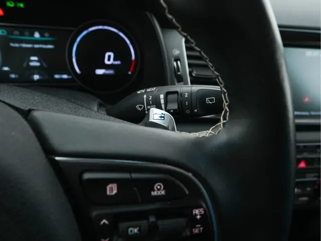 Kia e-Niro ExecutiveLine 64 kWh 2020 Elektrisch 19