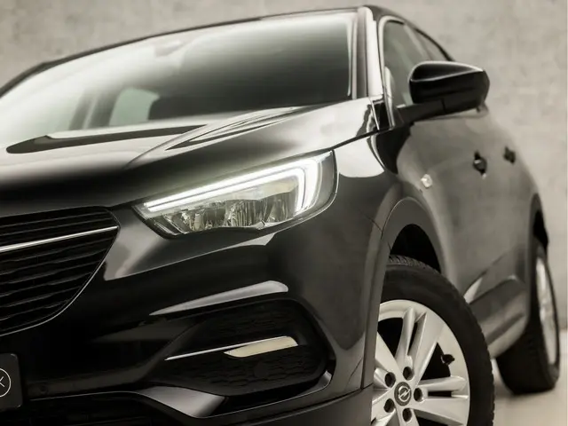 Opel Grandland X 1.2 Turbo Sport 2021 Benzine 12