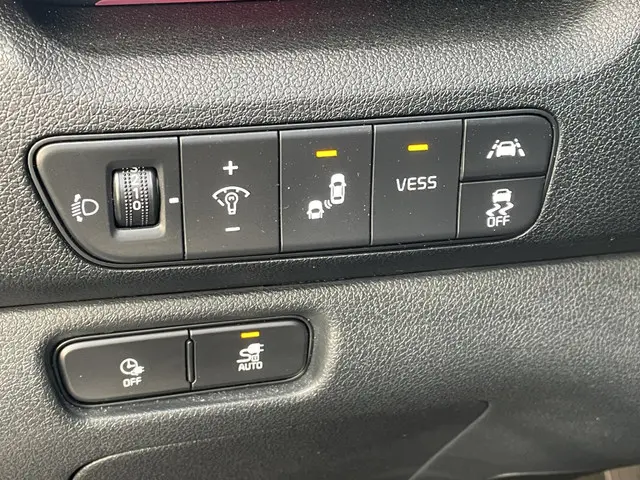 Kia e-Niro ExecutiveLine 64 kWh 2020 Elektrisch 20