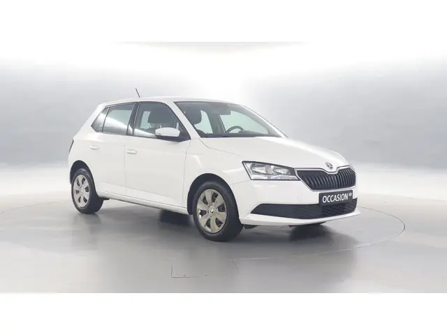 Škoda Fabia 1.0 75pk Active 2019 Benzine 3