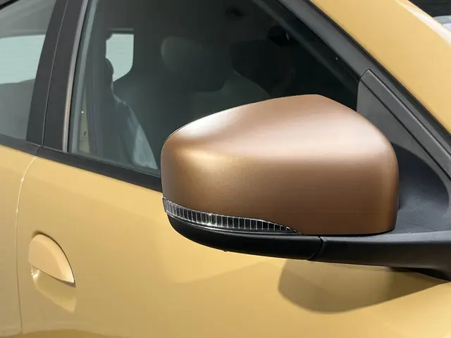 Dacia Spring Extreme 65 26.8 kWh 2025 Elektrisch 15