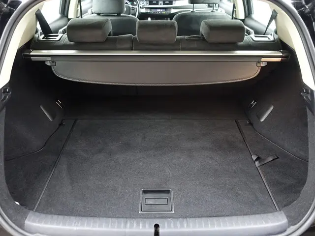 Lexus CT 200h Business Line 2019 Hybride Benzine 30
