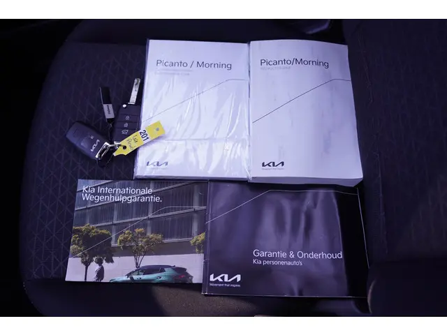 Kia Picanto 1.0 DPi DynamicLine 2022 Benzine 48