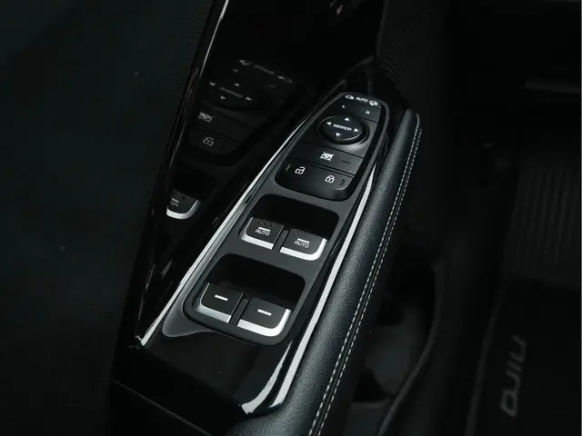 Kia e-Niro ExecutiveLine 64 kWh 2020 Elektrisch 21