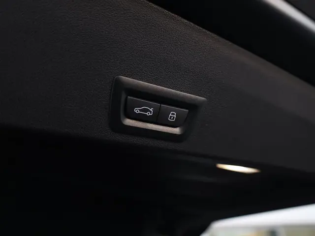 BMW XM PHEV Label Red 30 kWh 2025 Hybride Benzine 25