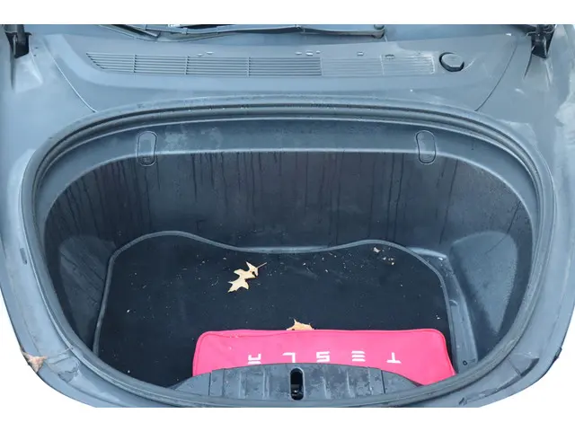 Tesla Model 3 Performance AWD 75 kWh 2019 Elektrisch 21