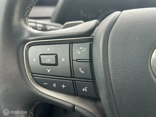 Lexus UX 300e Luxury 54 kWh 2020 Elektrisch 10