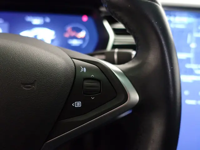 Tesla Model X 90D Base 2017 Elektrisch 18