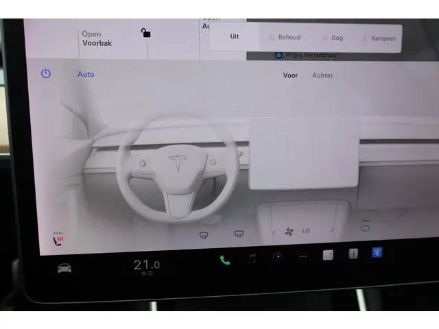 Tesla Model 3 Performance AWD 75 kWh 2019 Elektrisch 30