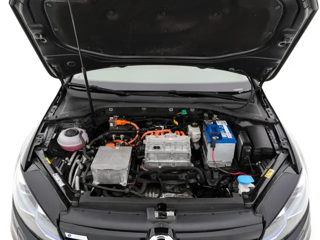 Volkswagen e-Golf E-DITION 2020 Elektrisch 27