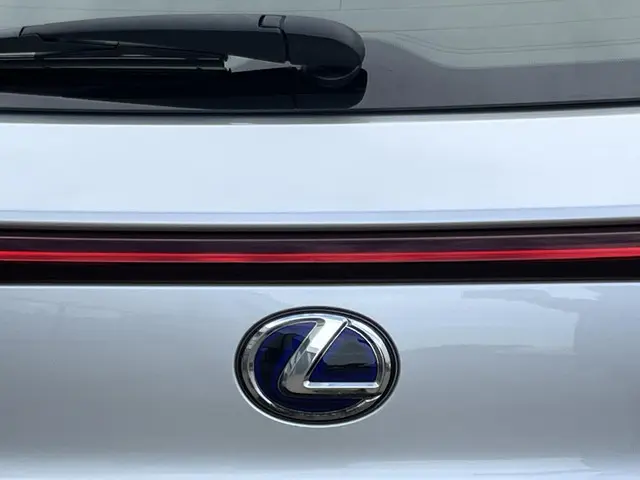 Lexus UX 250h Luxury Line 2020 Hybride Benzine 45