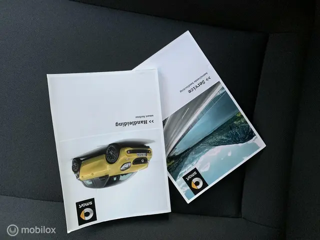 Smart Forfour 1.0 Business Solution 2018 Benzine 8
