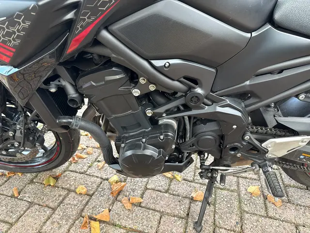 Kawasaki Z900 Naked bike 2020 Benzine 7