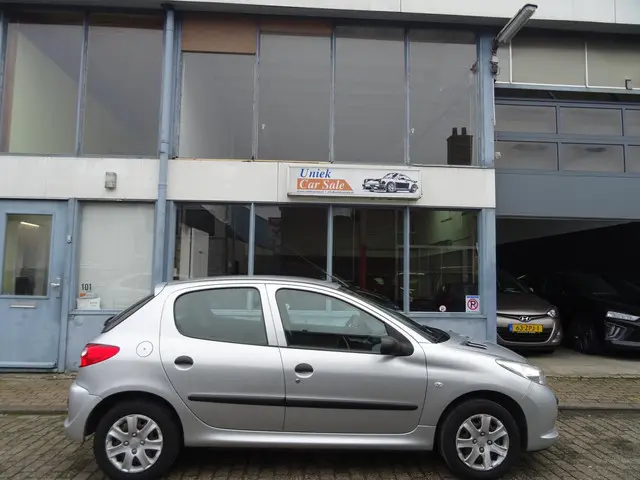 Peugeot 206 + 1.1 Access Lite 2012 Benzine 5