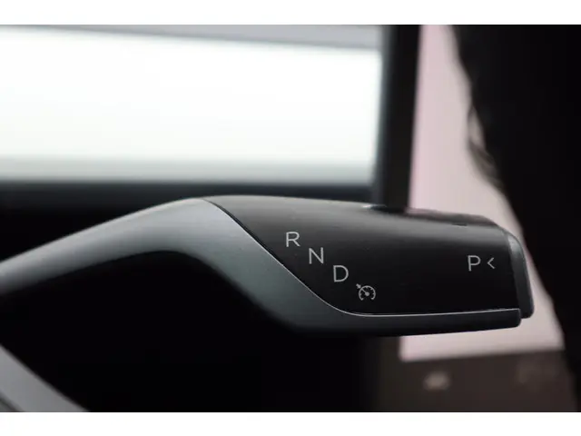 Tesla Model 3 Long Range AWD 75 kWh 2021 Elektrisch 26