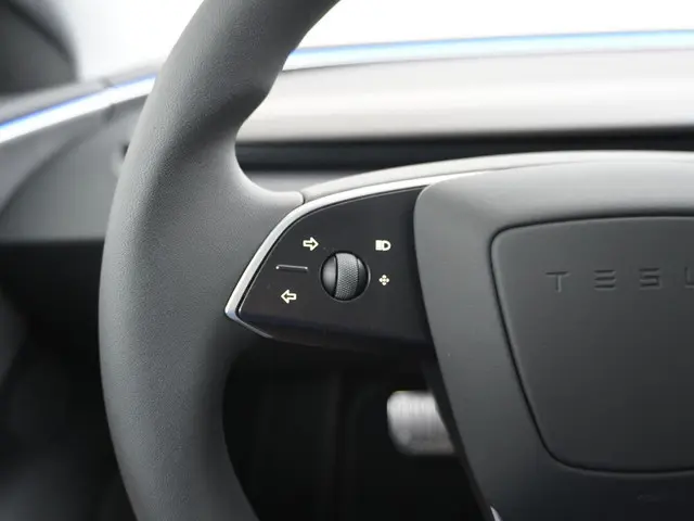 Tesla Model 3 Performance AWD 78 kWh 2025 Elektrisch 22