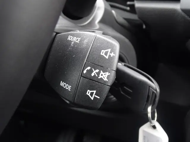 Dacia Sandero 1.0 TCe 100 limited edition 2026 Benzine 22