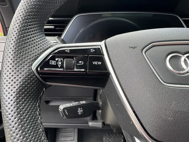 Audi e-tron 55 quattro S edition 2022 Elektrisch 21