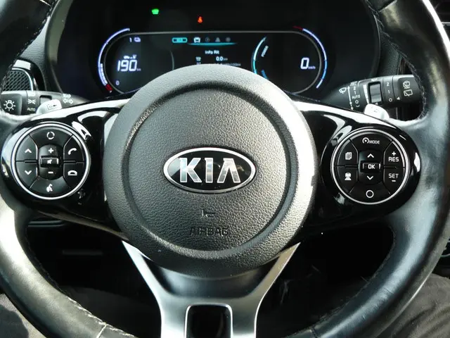 Kia e-Soul ExecutiveLine 64 kWh 2020 Elektrisch 12