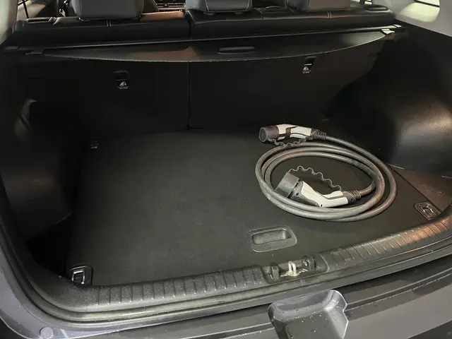 Kia e-Niro DynamicLine 64 kWh 2020 Elektrisch 35