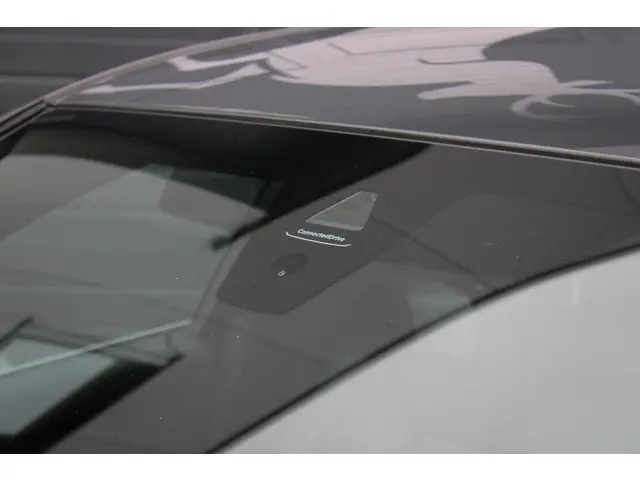 BMW 3 Serie 330i High Executive Edition 2019 Benzine 9