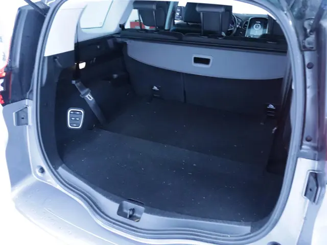 Renault Grand Scénic 1.3 TCe Bose 7p. 2019 Benzine 31