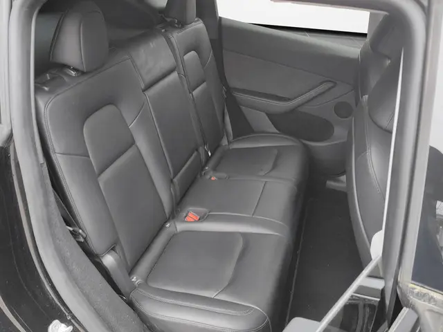 Tesla Model Y Long Range AWD 75 kWh 2023 Elektrisch 18