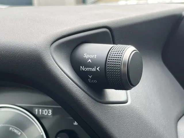 Lexus UX 250h Luxury Line 2020 Hybride Benzine 56