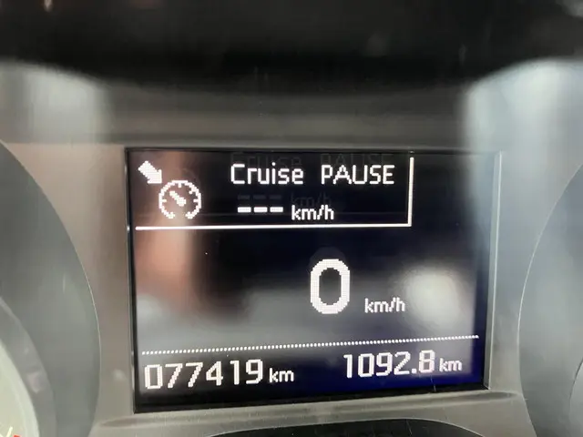 Peugeot 208 1.2 PT ALLURE 2019 Benzine 24