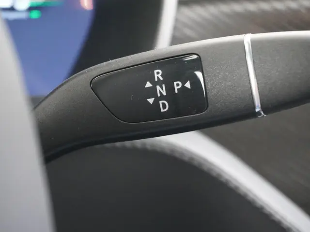 Tesla Model S Long Range RAVEN 2020 Elektrisch 28