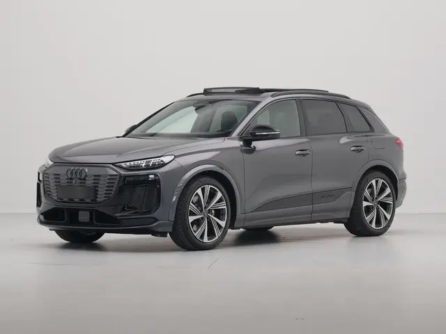 Audi SQ6 e-tron SQ6 100 kWh 2024 Elektrisch