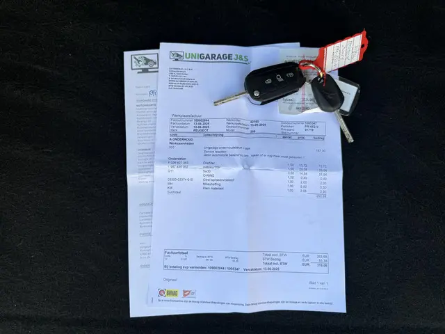 Peugeot 308 SW 1.2 PureTech Blue Lion 2017 Benzine 25