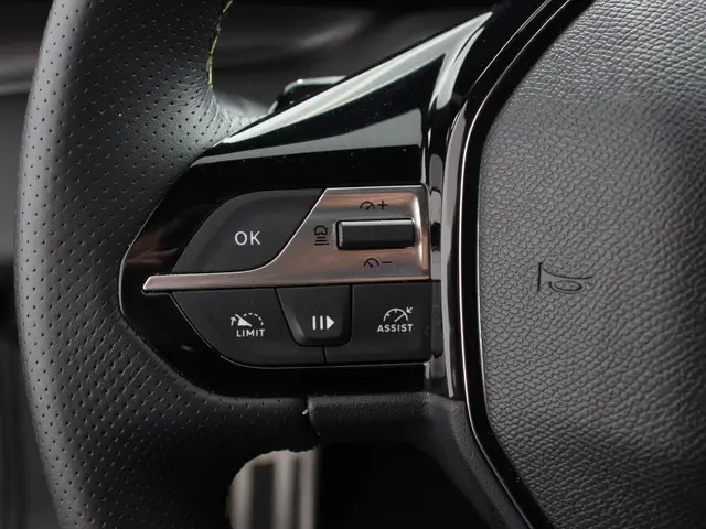 Peugeot 308 1.2 PureTech GT 2024 Benzine 14
