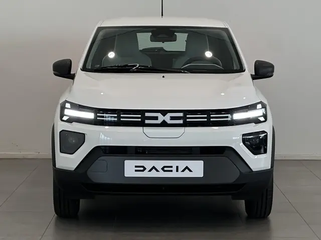 Dacia Spring 3