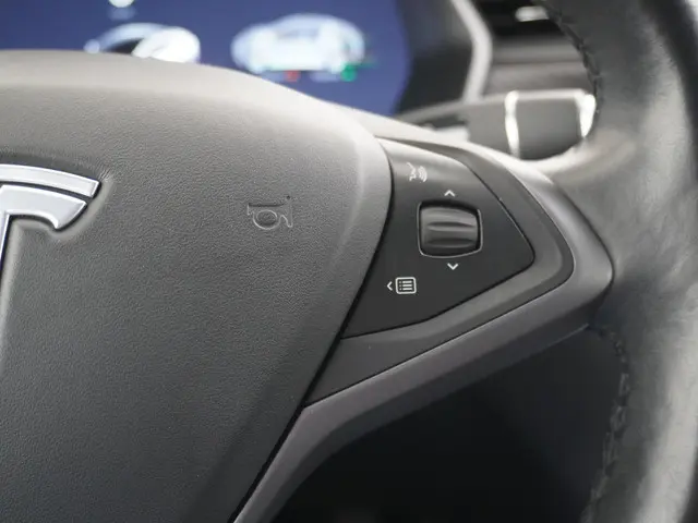 Tesla Model S Long Range RAVEN 2020 Elektrisch 30