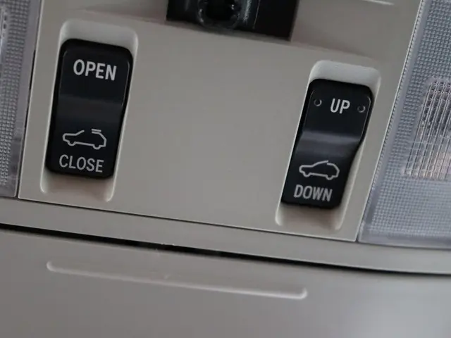 Toyota RAV4 2.5 Hybrid Energy Plus 2018 Hybride Benzine 26
