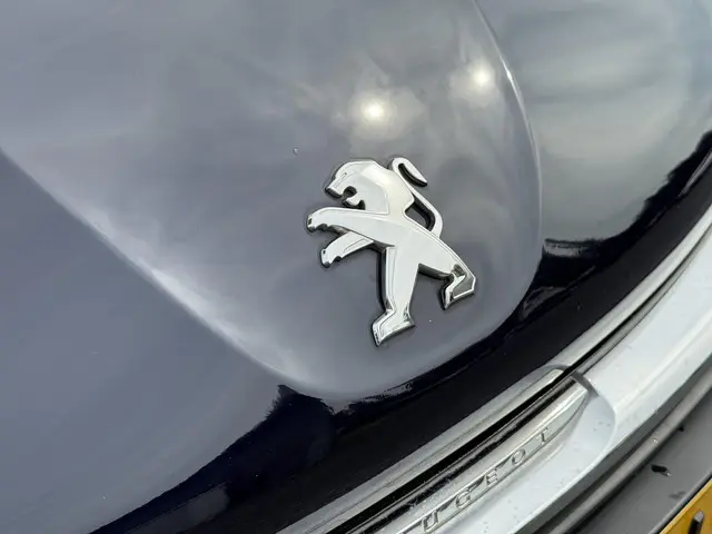 Peugeot 208 1.2 PureTech Blue Lion 2018 Benzine 30