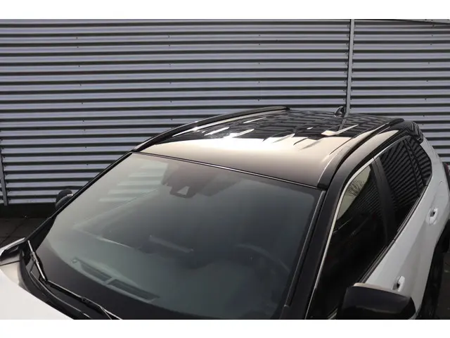 Toyota RAV4 2.5 Hybrid Bi-Tone, 2020 Hybride Benzine 19