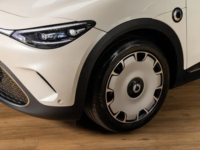 Smart #3 Premium 66 kWh 2025 Elektrisch 5