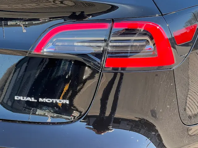 Tesla Model 3 Long Range AWD 75 kWh 2019 Elektrisch 8