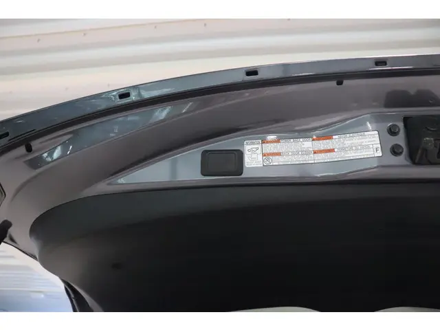 Toyota RAV4 2.5 Hybrid Energy, NAVI, 2019 Hybride Benzine 9