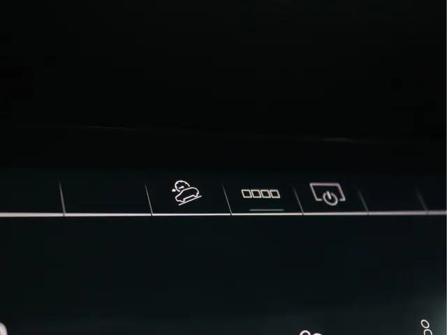 Audi e-tron Sportback 55 quattro 95KWh 2021 Elektrisch 73