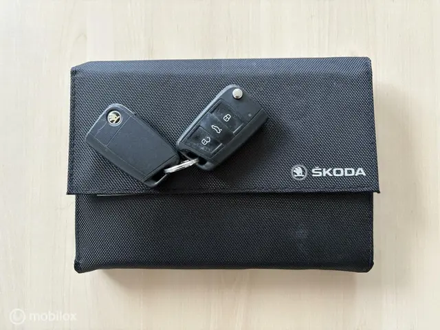Škoda Rapid Spaceback 1.2 TSI Greentech JOY 2017 Benzine 18