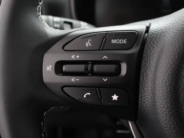 Kia Picanto 1.0 DPI DynamicLine Automaat 2025 Benzine 15