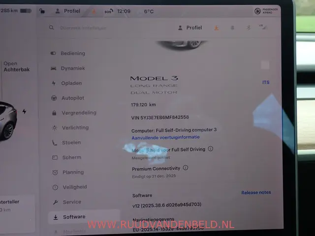 Tesla Model 3 Long Range AWD 2020 Elektrisch 12