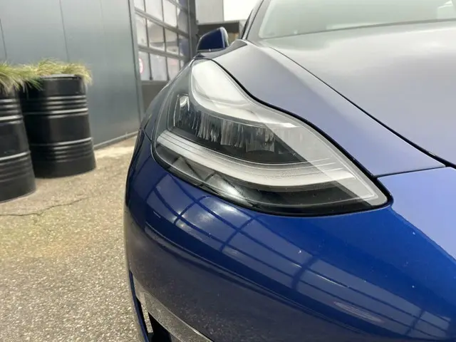 Tesla Model 3 Long Range 75 kWh 2019 Elektrisch 12