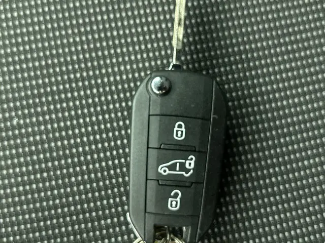 Opel Combo 1.5 BlueHDi 130 S&S L2 2024 Diesel 28