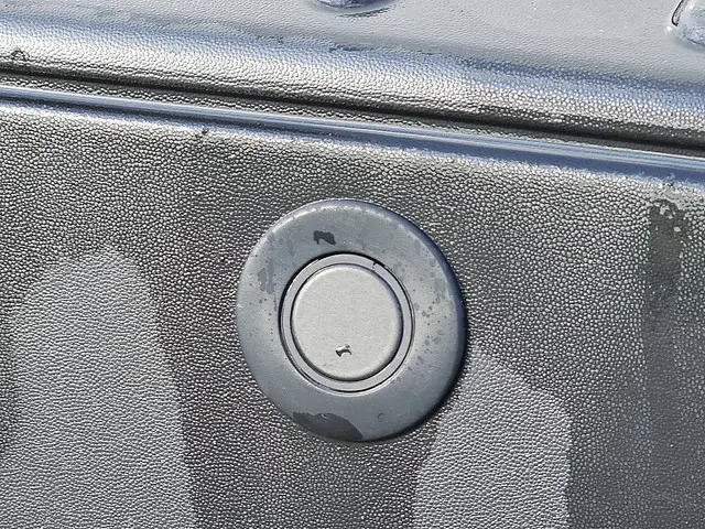 Ford Transit Custom 2.0 2020 Diesel 15