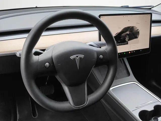 Tesla Model Y Long Range AWD 75 kWh 2023 Elektrisch 13