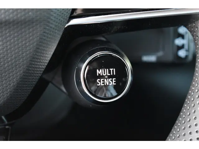 Renault Austral Techno 2025 Hybride Benzine 23